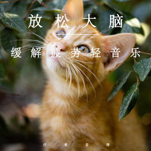 北条麻妃流出来了好多
